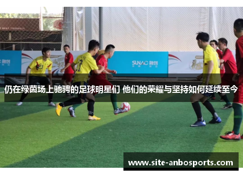 仍在绿茵场上驰骋的足球明星们 他们的荣耀与坚持如何延续至今