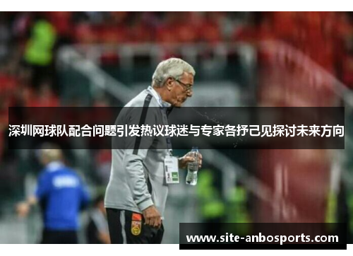 深圳网球队配合问题引发热议球迷与专家各抒己见探讨未来方向