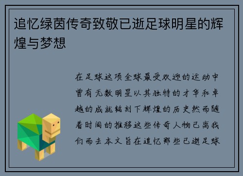 追忆绿茵传奇致敬已逝足球明星的辉煌与梦想